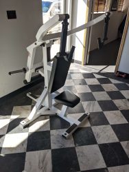 Paramount Triceps Extension Paramount Triceps Extension