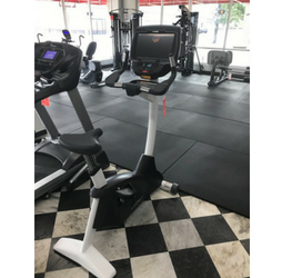 Cybex Upright Bike Cybex Upright Bike